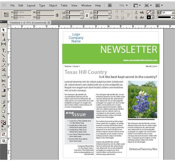 Adobe Newsletter Templates Indesign