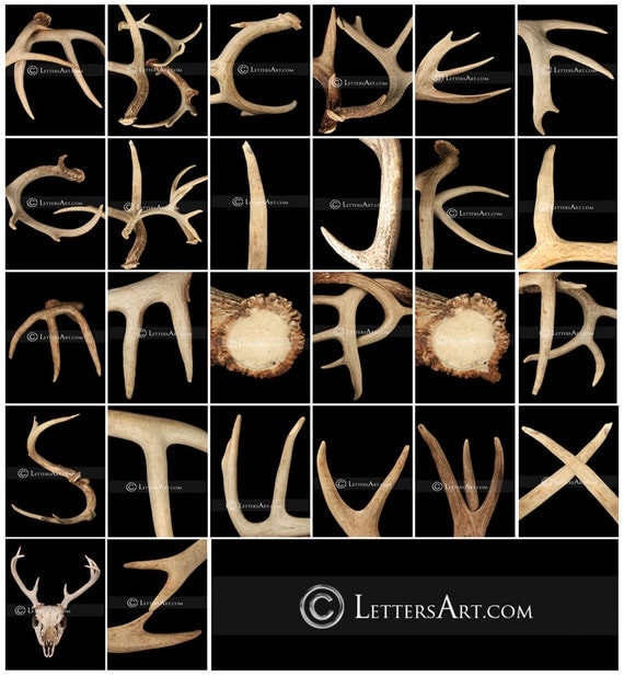 Alphabet Photo Art