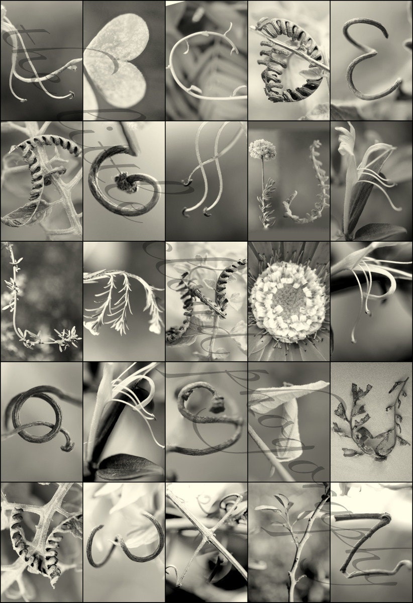 Alphabet Photography Name Art