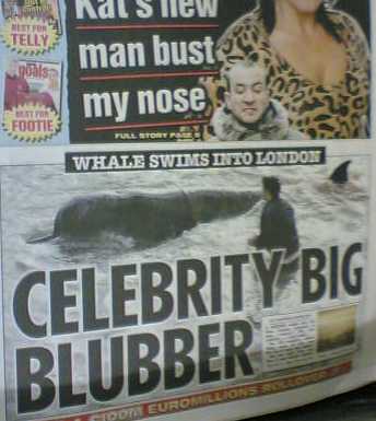 Amusing Newspaper Headlines Uk