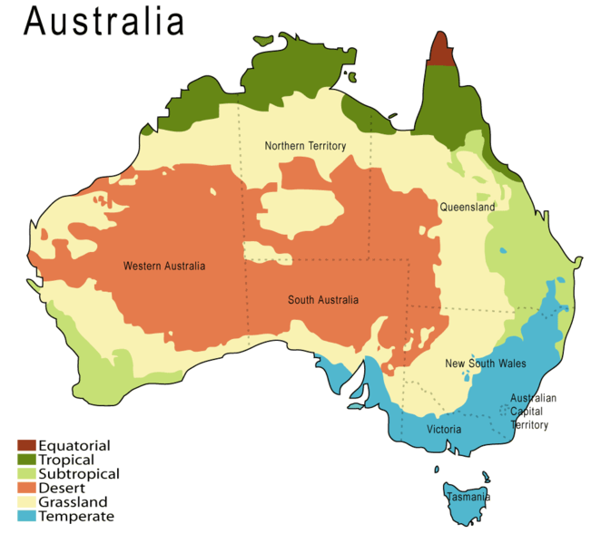 Australian Desert Animals Adaptations