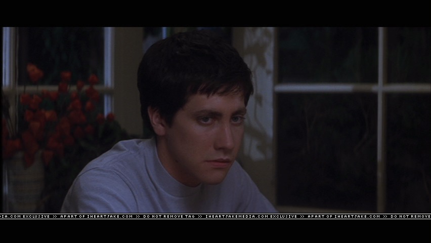 Jake Gyllenhaal Donnie Darko Kiss