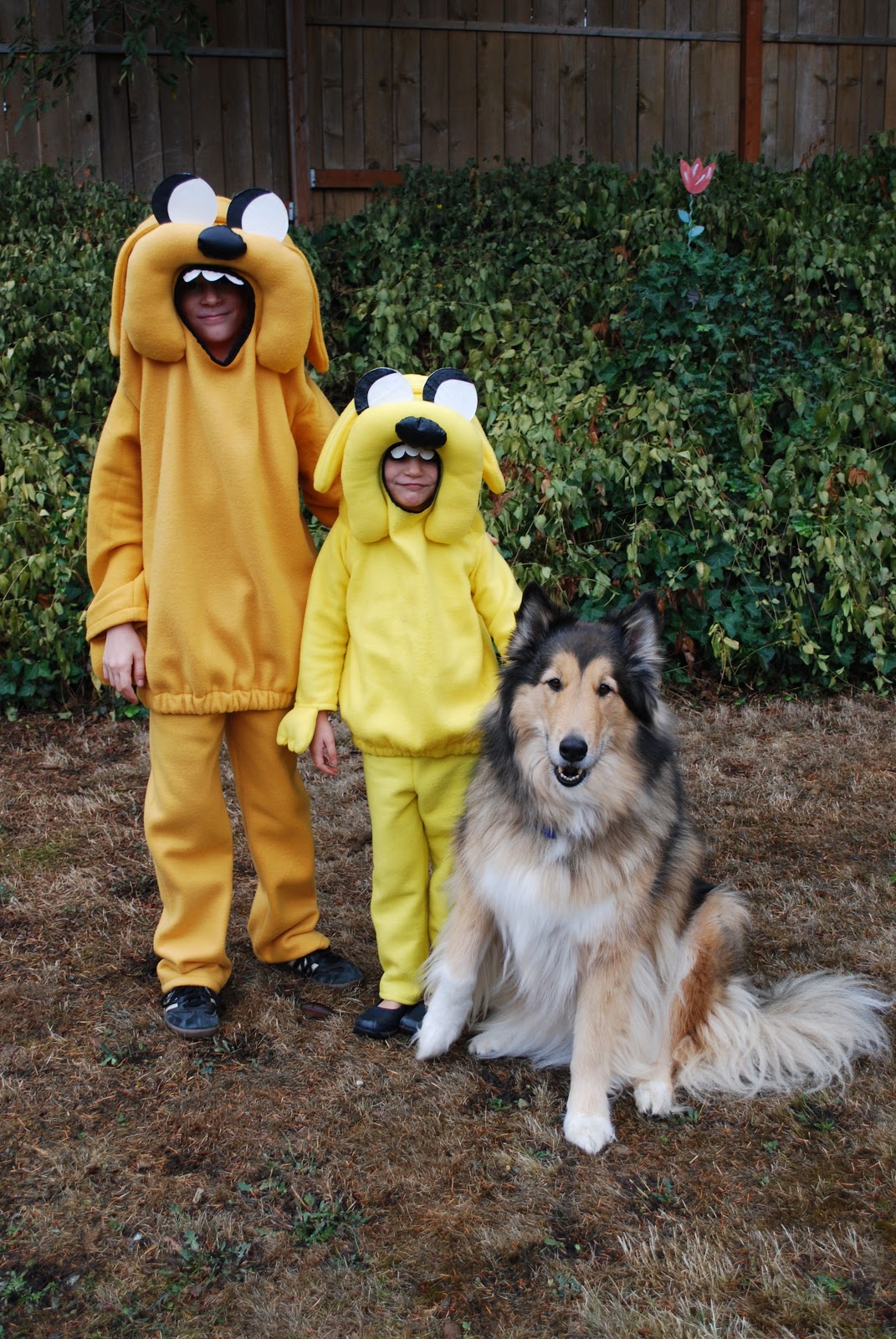 Jake The Dog Adventure Time Costume