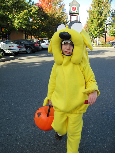 Jake The Dog Adventure Time Costume