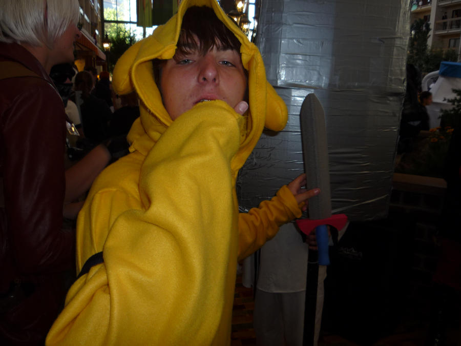 Jake The Dog Cosplay