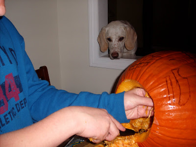 Jake The Dog Pumpkin Stencil