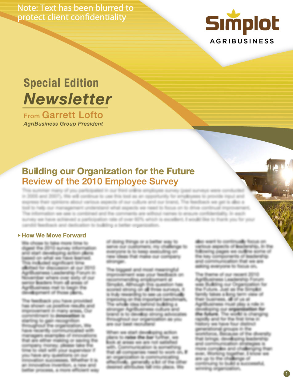 Newsletter Design