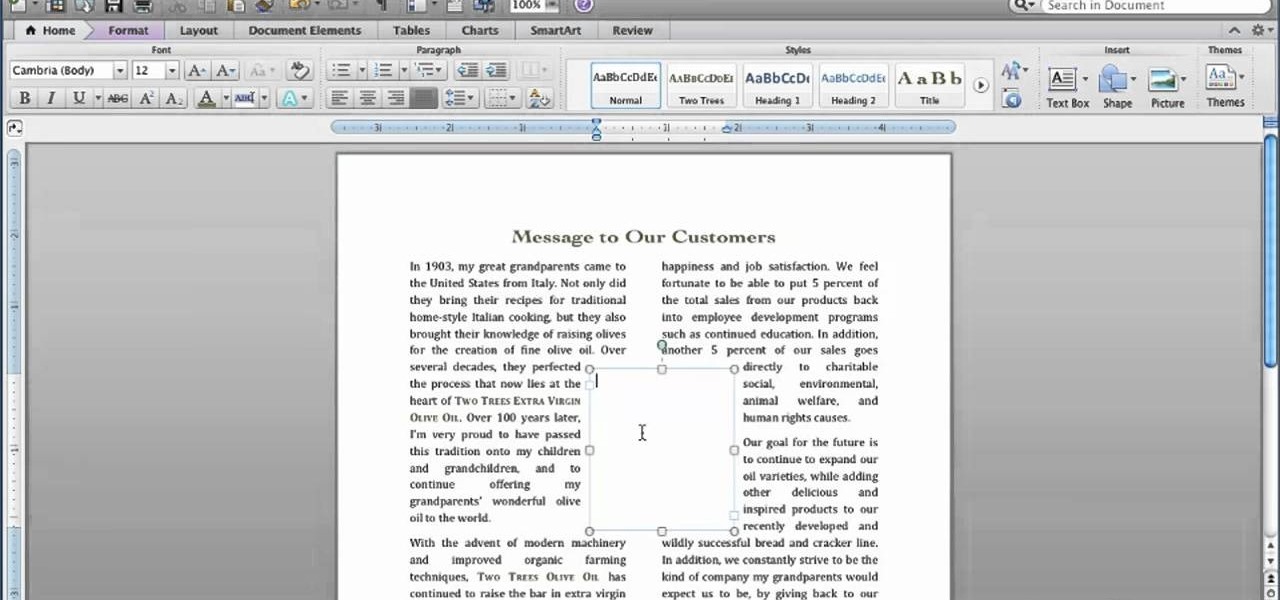 Newsletter Templates For Word For Mac