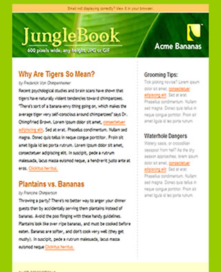 Newsletter Templates Free Download