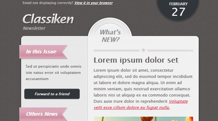 Newsletter Templates Psd Download