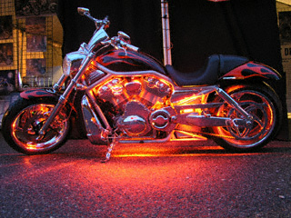 Night Rider Biker