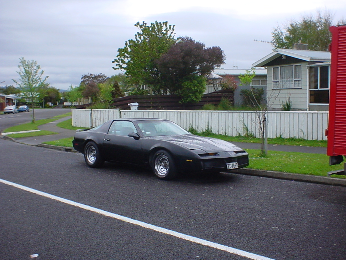 Night Rider Firebird