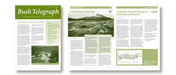 Print Newsletter Design Examples