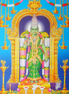 Raja Shyamala Devi