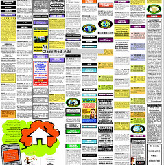 Real Estate Newspaper Ads Sample