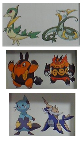 Starter Pokemon Black And White Evolutions