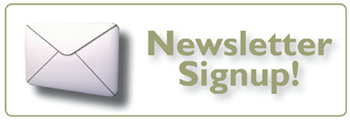 Subscribe Newsletter Icon