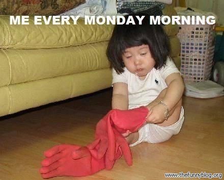 Tomorrow Is Monday Funny Pictures