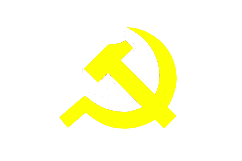 Vietnam Communist History